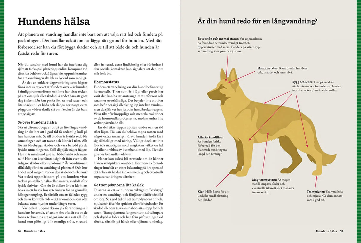 Vandra med hund