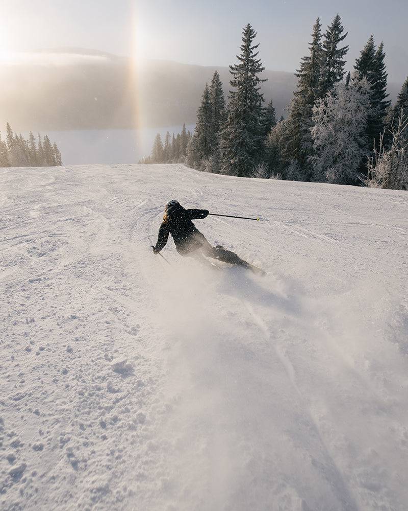 Icon 90 Skida Freeride