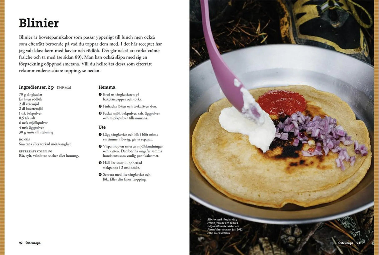 Vegetarisk turmat