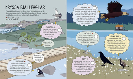 Barnens fjällbok - En handbok för unga fjällvandrare